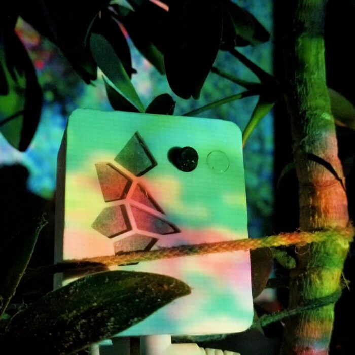 Biodata building kit - Biosonification device