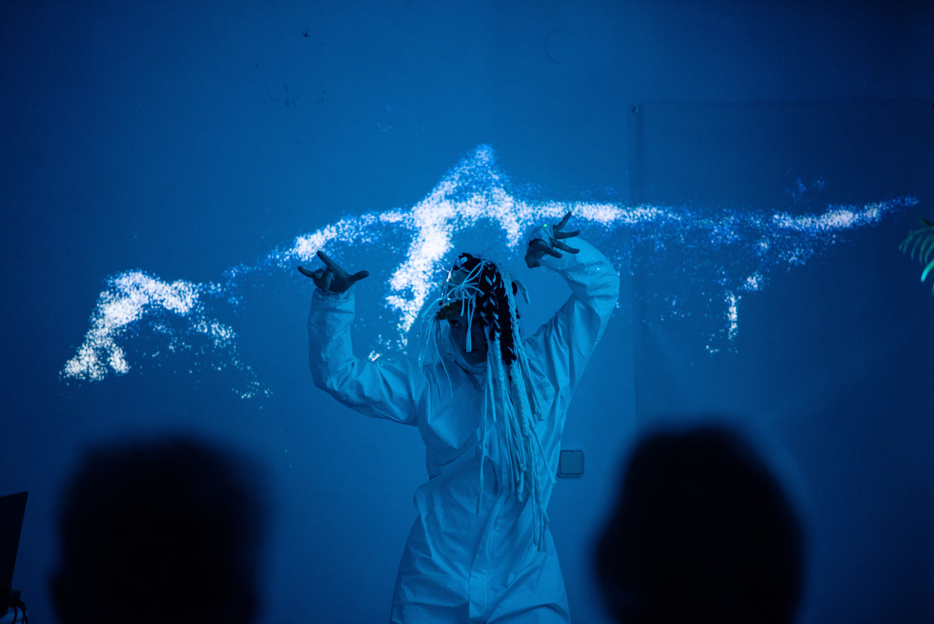 Biotic Symphony at the in.jer.to Festival in Torre del Mar