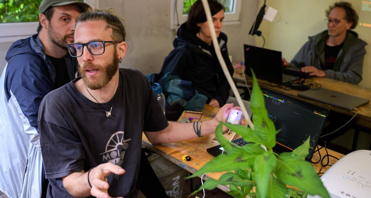 Sinfonía biótica at PIFcamp: Community, Art, and Nature in Slovenia