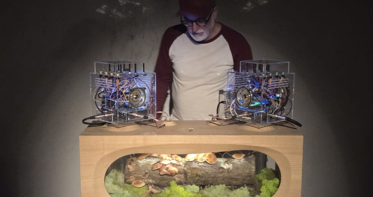 Ritual Device for Fungal Humus: Listening to the Underground