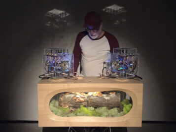Ritual Device for Fungal Humus: Listening to the Underground