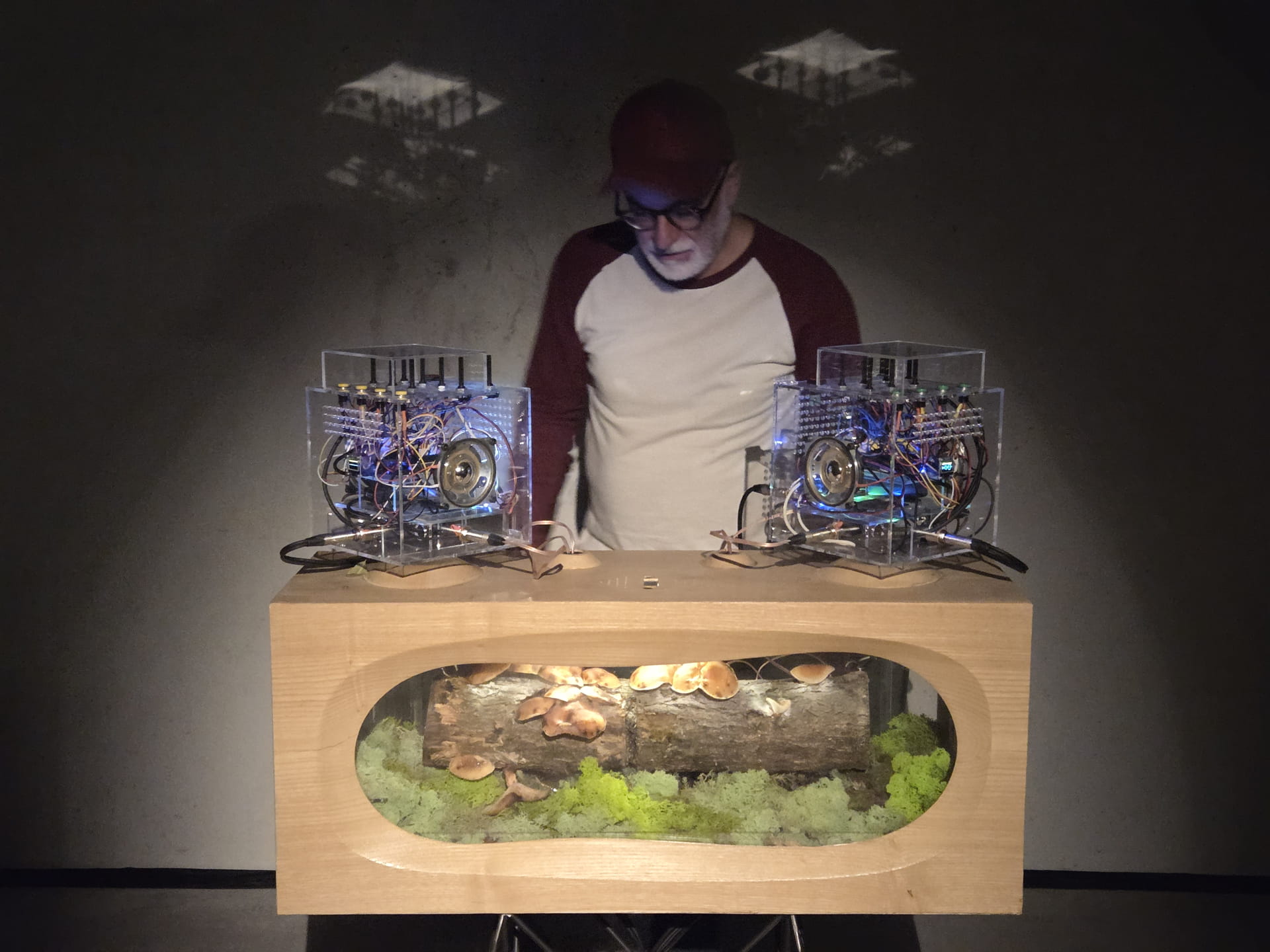 Ritual Device for Fungal Humus: Listening to the Underground