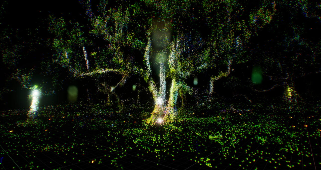 Testing Sinfonía Biótica: Immersive Field Research at MolinoLab