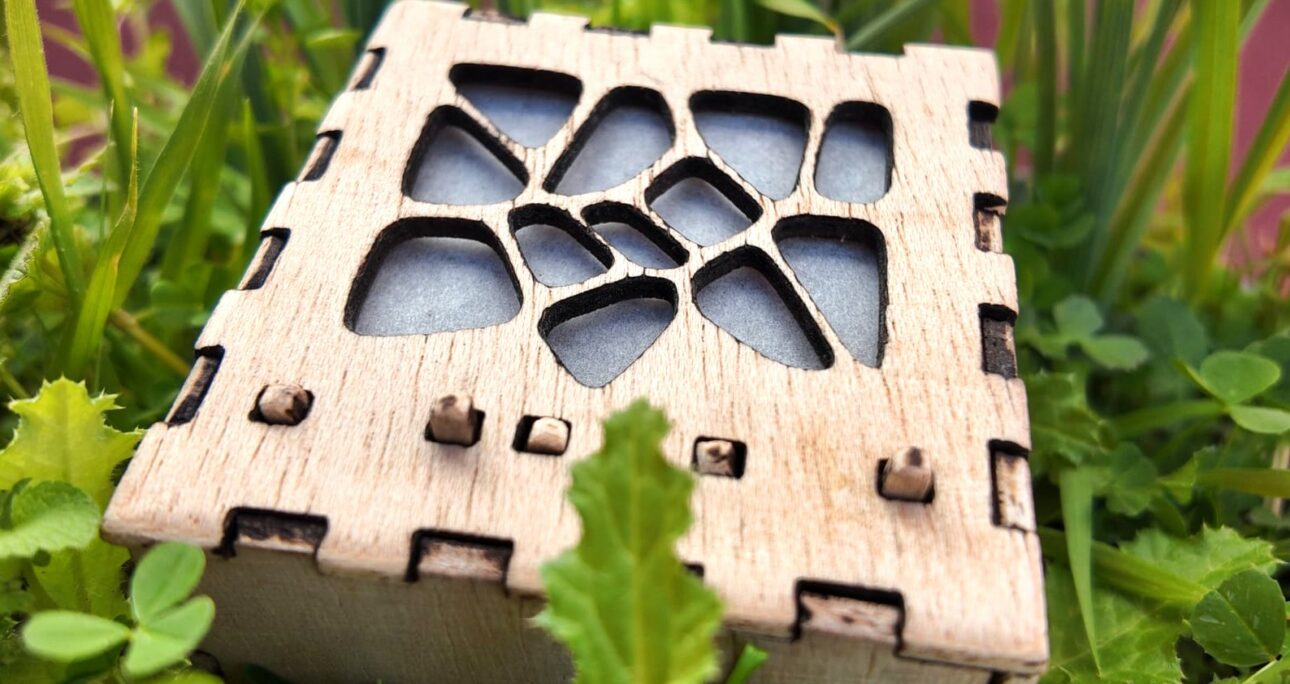 The Sentinels: Listening to the Hidden Pulse of Nature