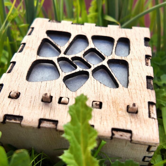 Forest Sentinel — The spirit of the tree in your home