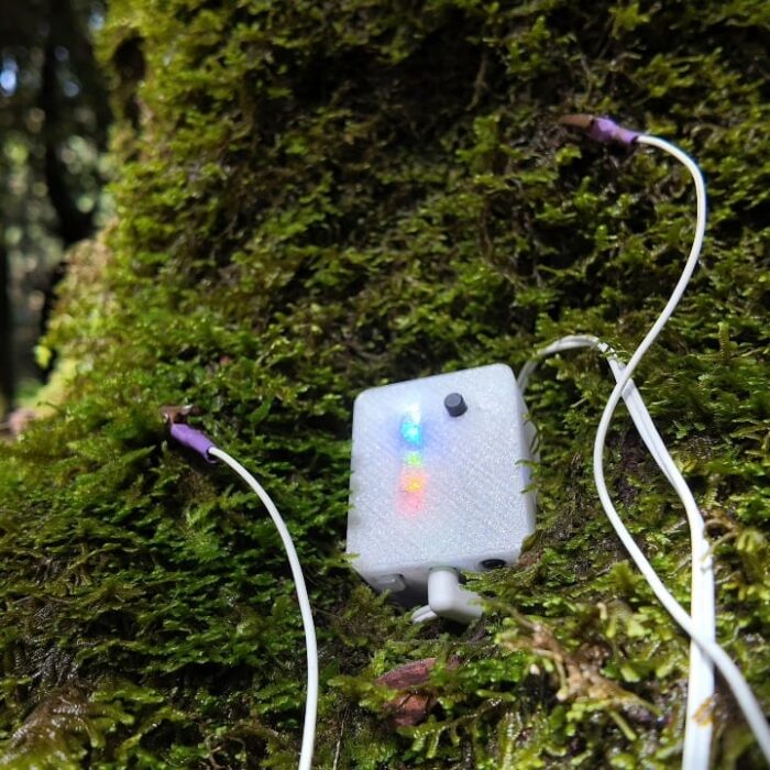 Biodata - Biosonification device